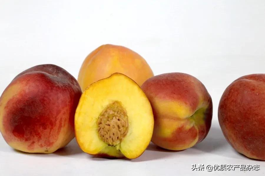 鲜食黄桃产地哪里的最好,什么种类的黄桃最好吃又甜