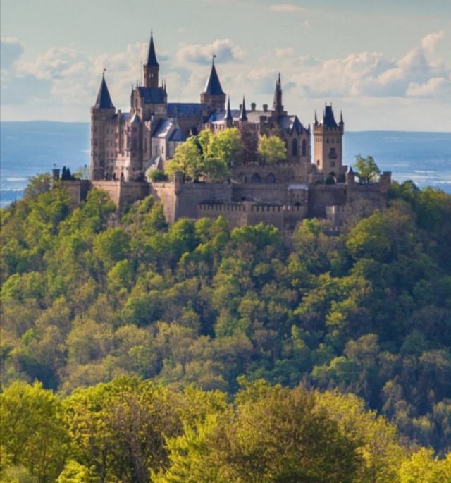 成长股有哪些重要特征,成长股是什么