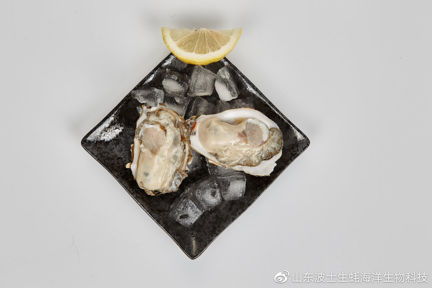 生吃生蚝怎么预防寄生虫,生蚝里的寄生虫吃什么药