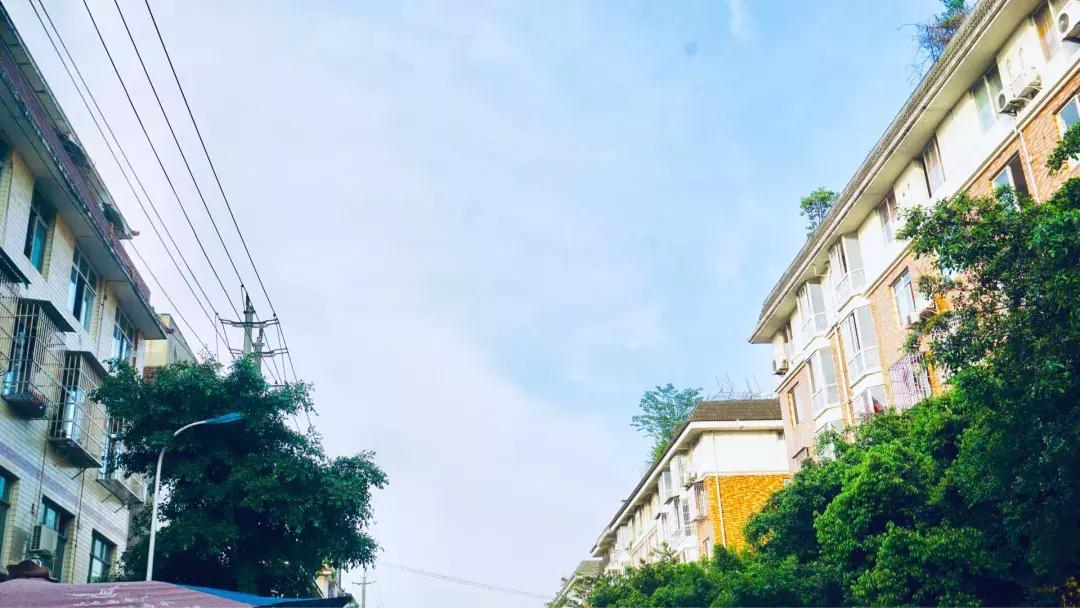 如果可以，请把我留在温江大学城！