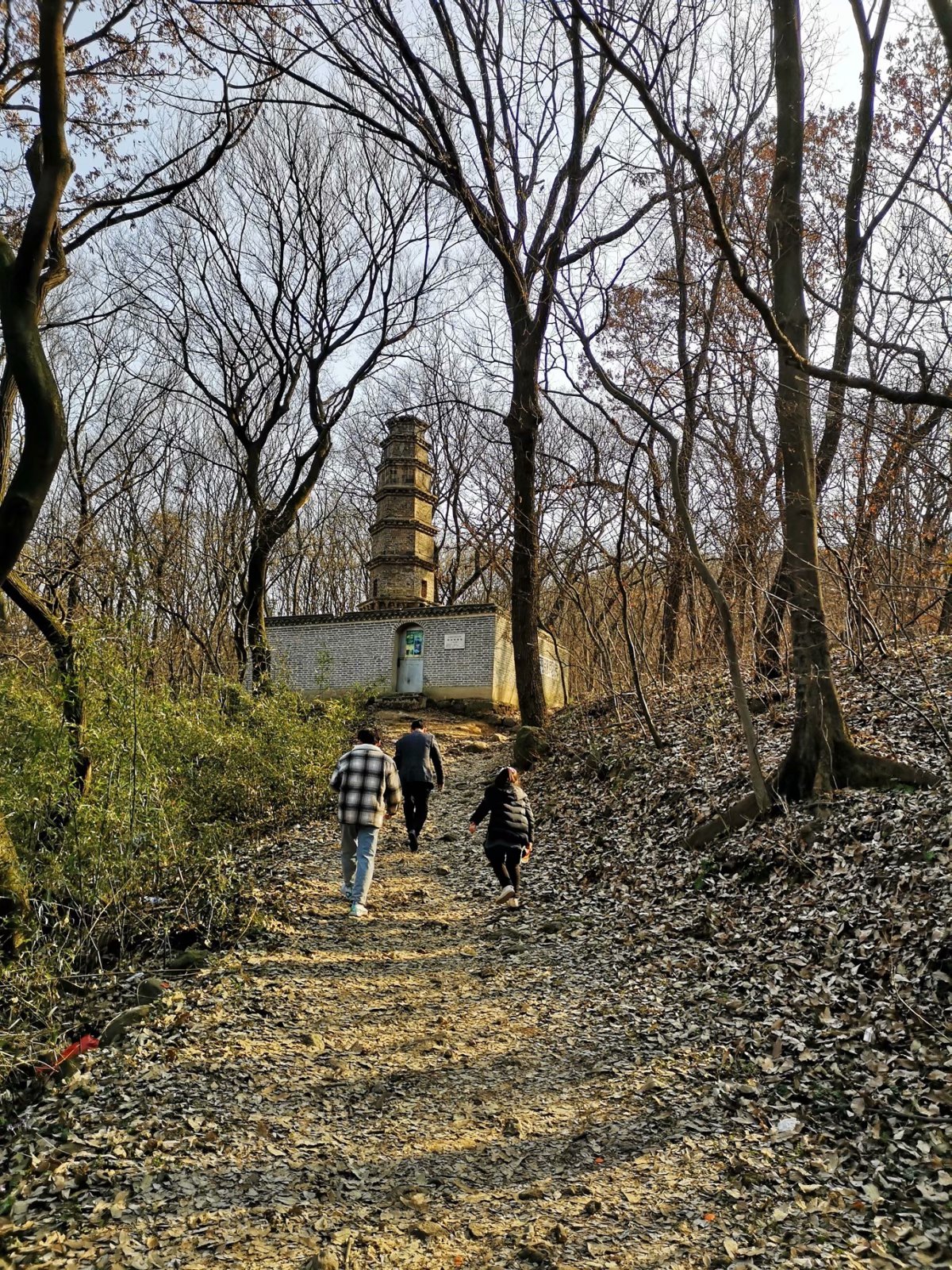 摩托周边旮旯游——探访明光法华禅庵塔