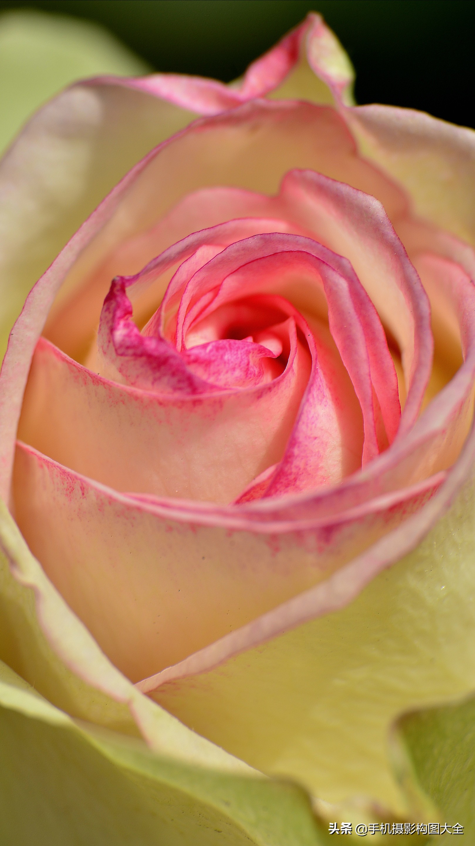 把你的相片做成动态图片,试试你的照片动漫效果