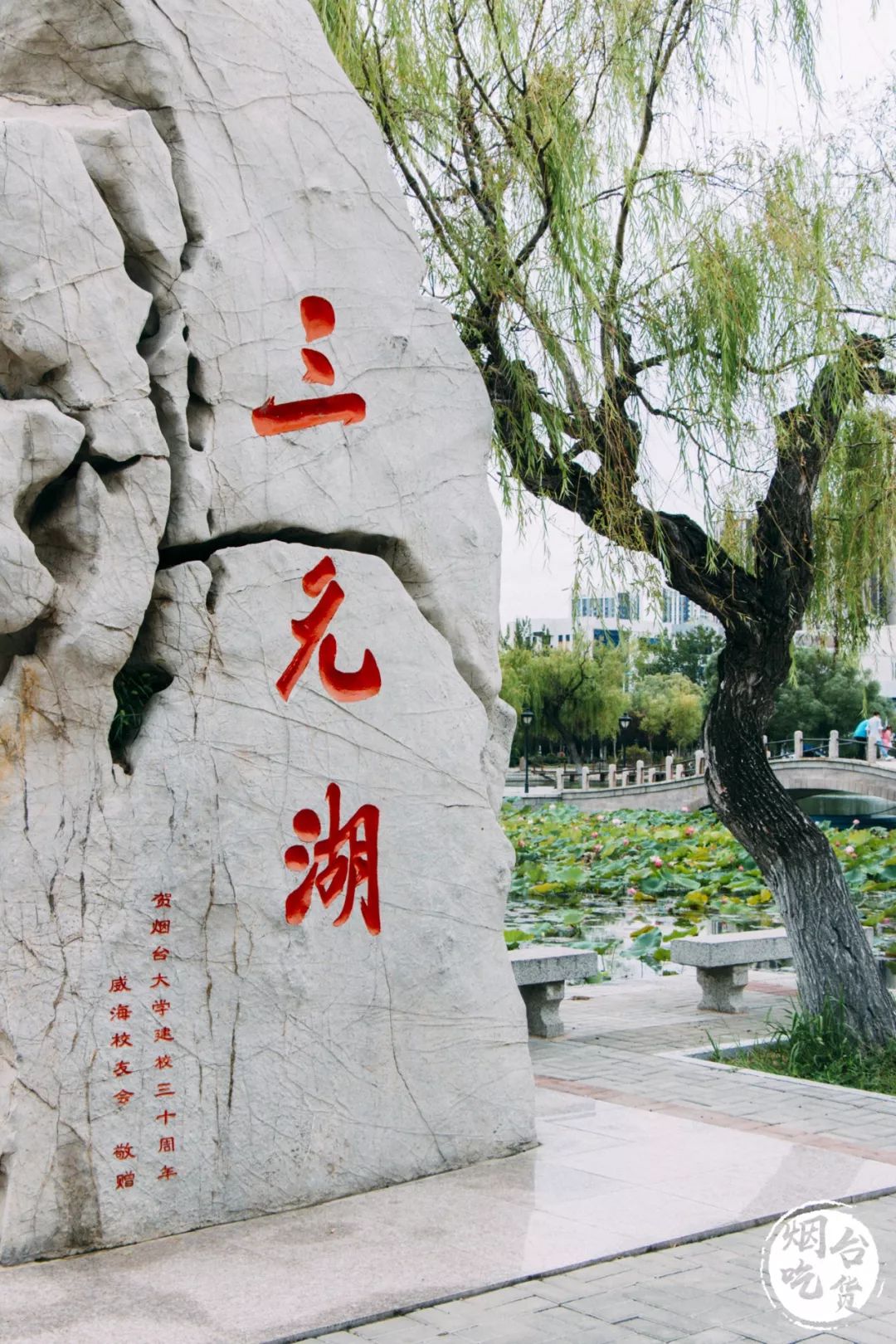 烟台大学各个餐厅,烟台大学有几家餐厅