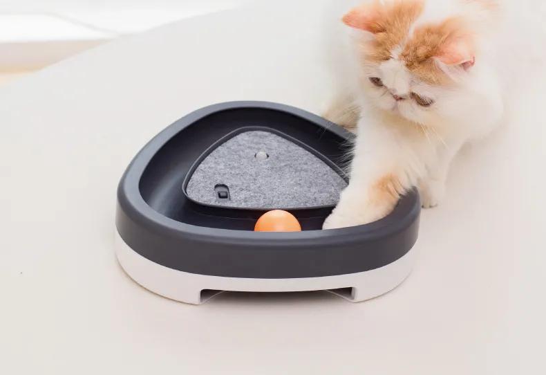 猫咪必备10大神器,猫咪必备神器排行