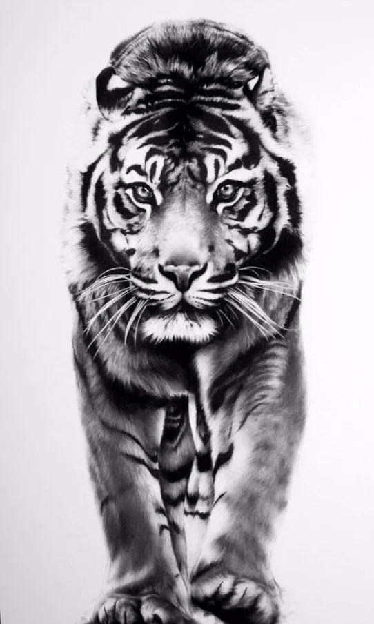 分享一套精美动物素描，值得收藏学习