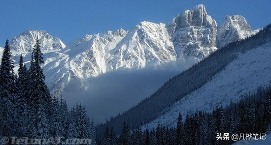 你知道世界上最冷的地方在哪里嘛,世界最冷的地方纪录片