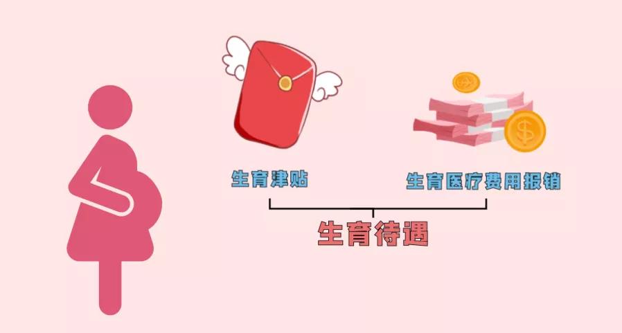 孩子出生以后需要办理哪些东西,娃出生以后都要办哪些证明