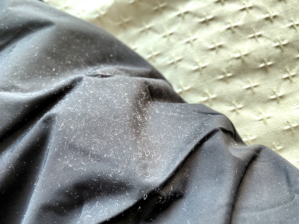 加绒冲锋裤男款正品专卖骆驼,骆驼加绒宽松冲锋裤