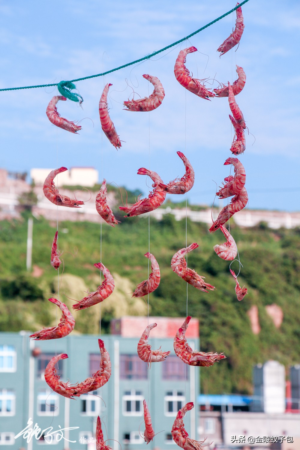 距离上海48公里,中国最东边住人海岛,从默默无闻到网红打卡地