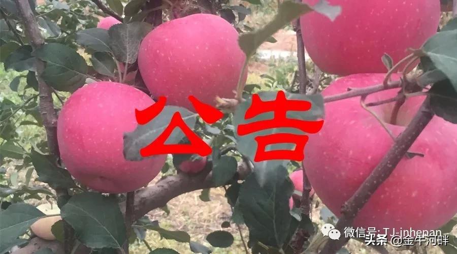 静宁县致森人力资源管理有限公司,肃宁县劳务派遣工招聘