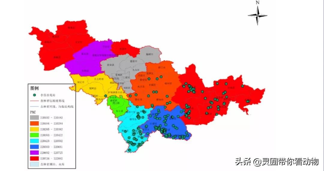 金日成爱吃的它,居然已经在国内绝迹?