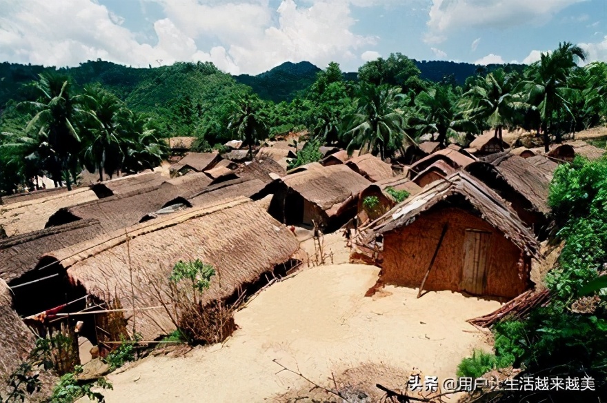 海南省黎族殡葬习俗,海南黎族的生活习俗