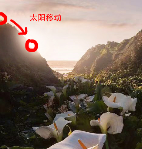 秘籍----移日*法大**