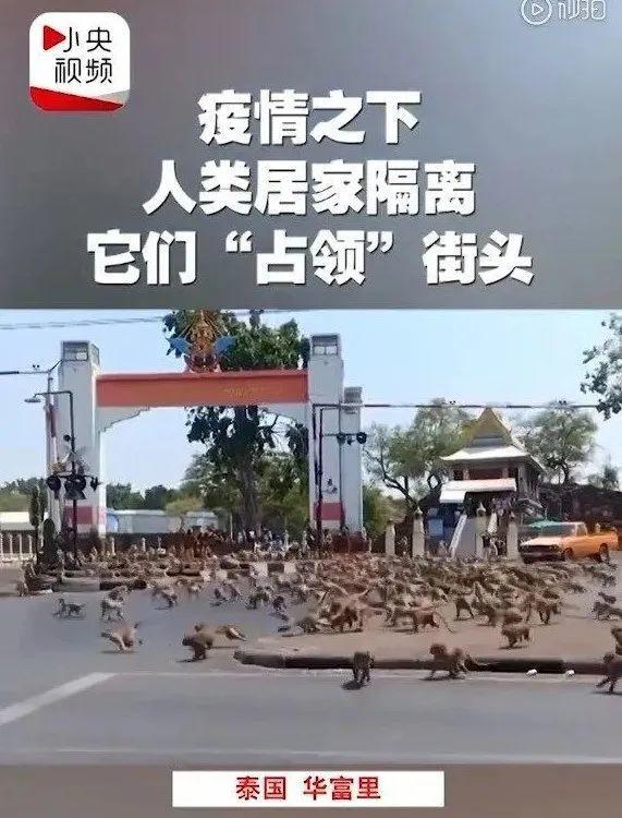 国内评分低国外评分高的电视剧,上映八天评分飙到8.4