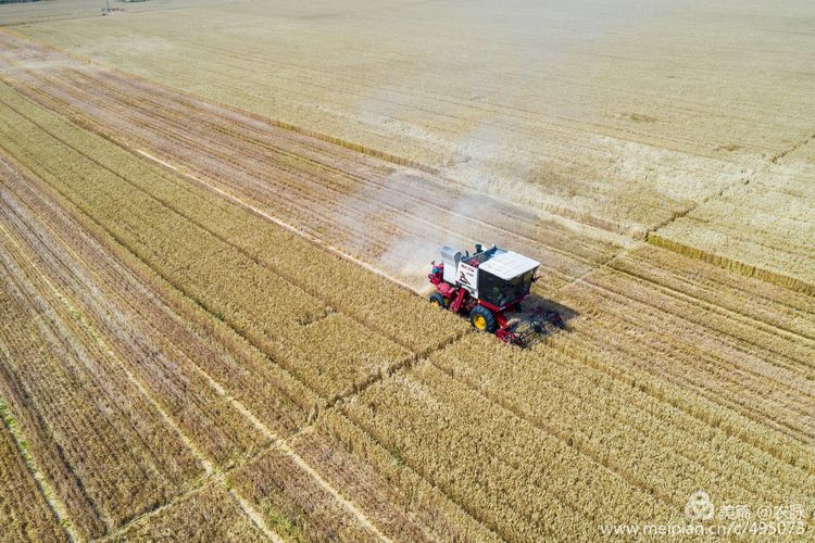 豫西老家放飞机，空中看黄河美景