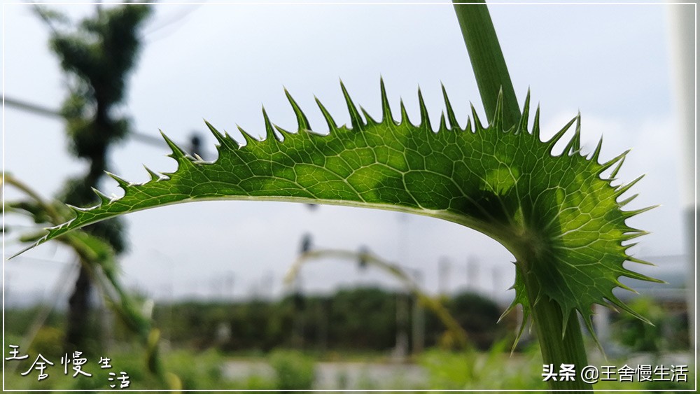 我可以抱抱你吗怎么说,我可以抱你吗的视频