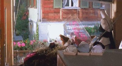 豆瓣8.3分的冷门电影,豆瓣8.4高分0差评冷门催泪片