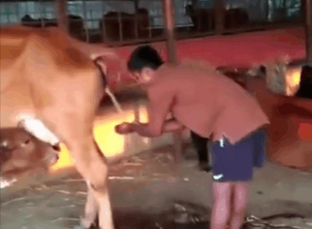 印度封国20天哭了，美国总统说了一句话......