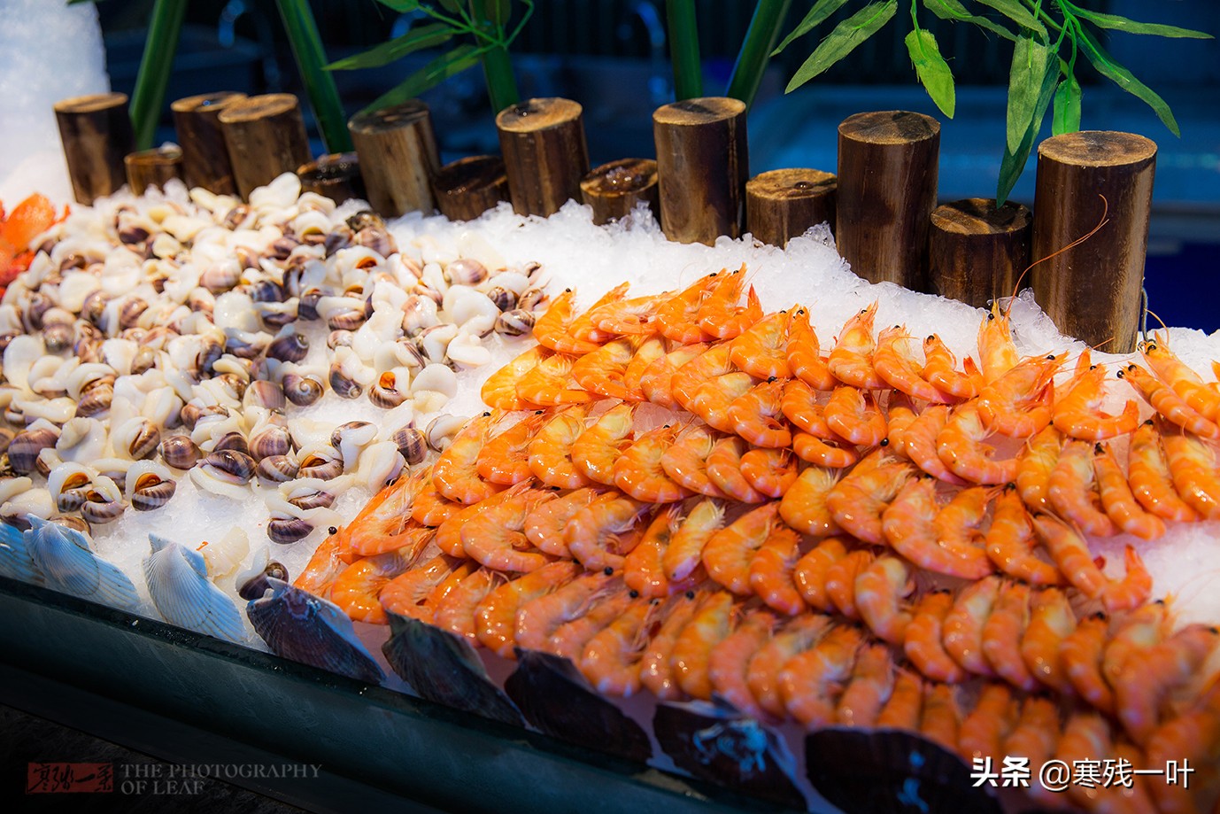 海鲜自助超级贵,海鲜自助为什么贵