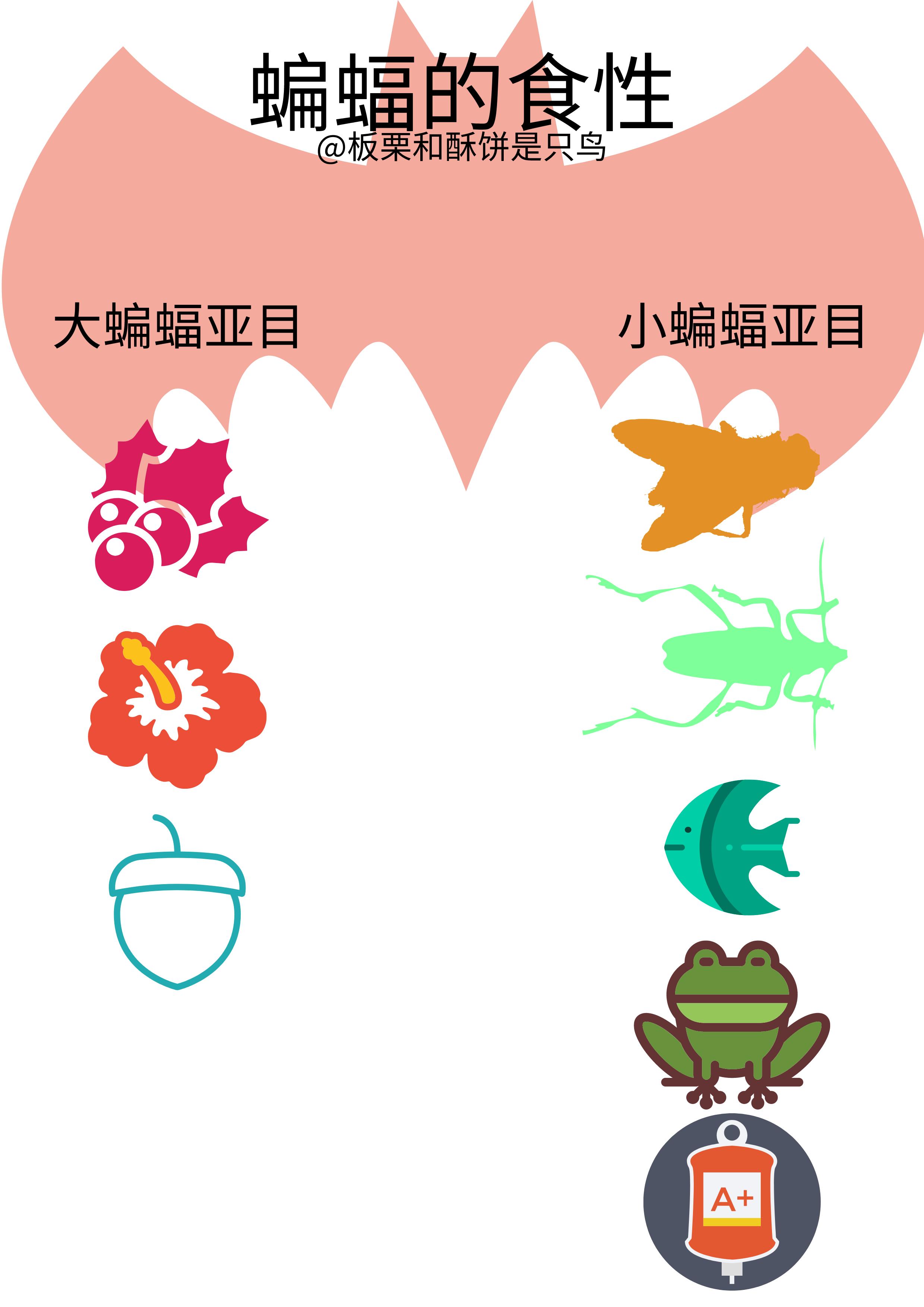 蝙蝠为什么是毒王,你知道蝙蝠为什么称得上毒王吗