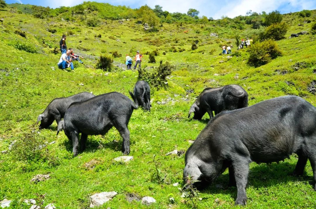 趁放假来一次有意义的旅行,比达瓦更扎更漂亮,关键是免费