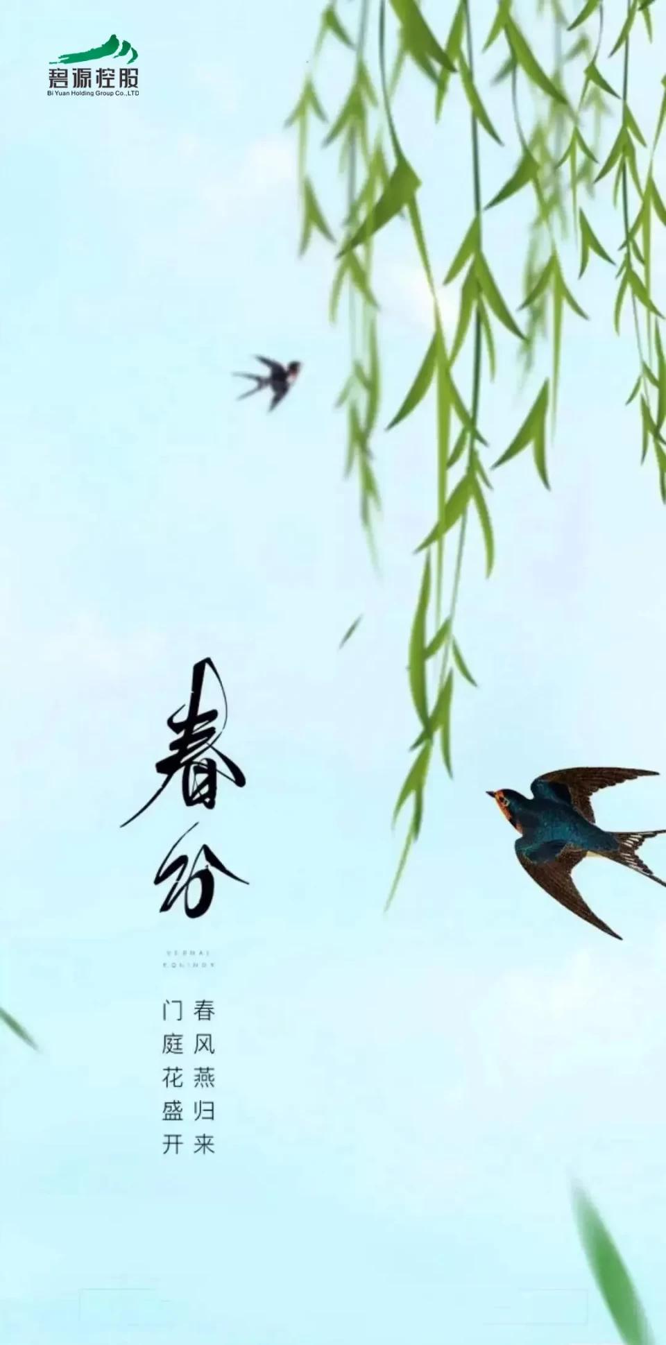 碧源月湖放风筝,碧源月湖垂钓园