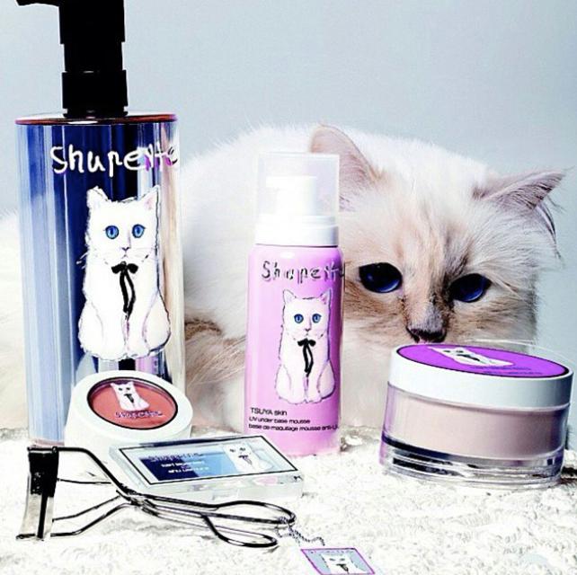 流浪猫突然暴富了,俄罗斯3只流浪猫