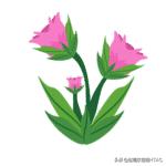 成人看图学英语之各种类型的花