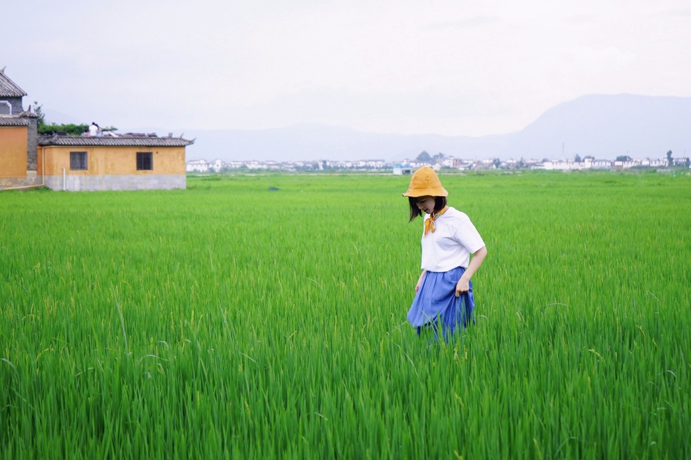 云南治愈旅行攻略,云南慢生活旅游推荐