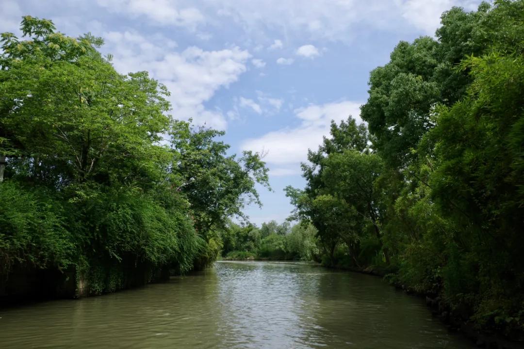 西溪湿地国家公园最近有什么节目,杭州西溪湿地附近大火