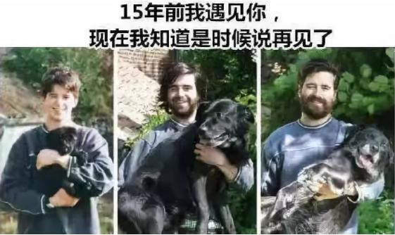 面对宠物的离去我们能做什么,怎么面对宠物离去的悲伤