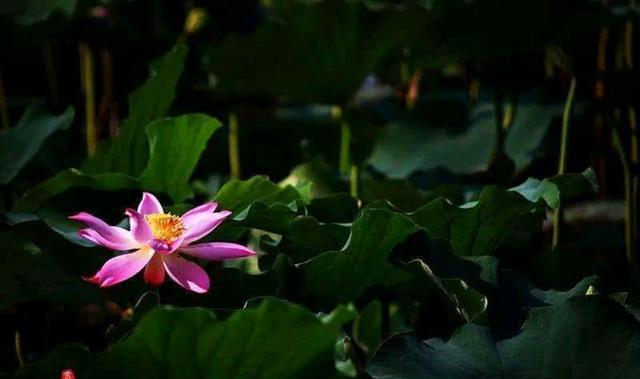 中国最美小城和最美县城,中国最美的小城是哪里