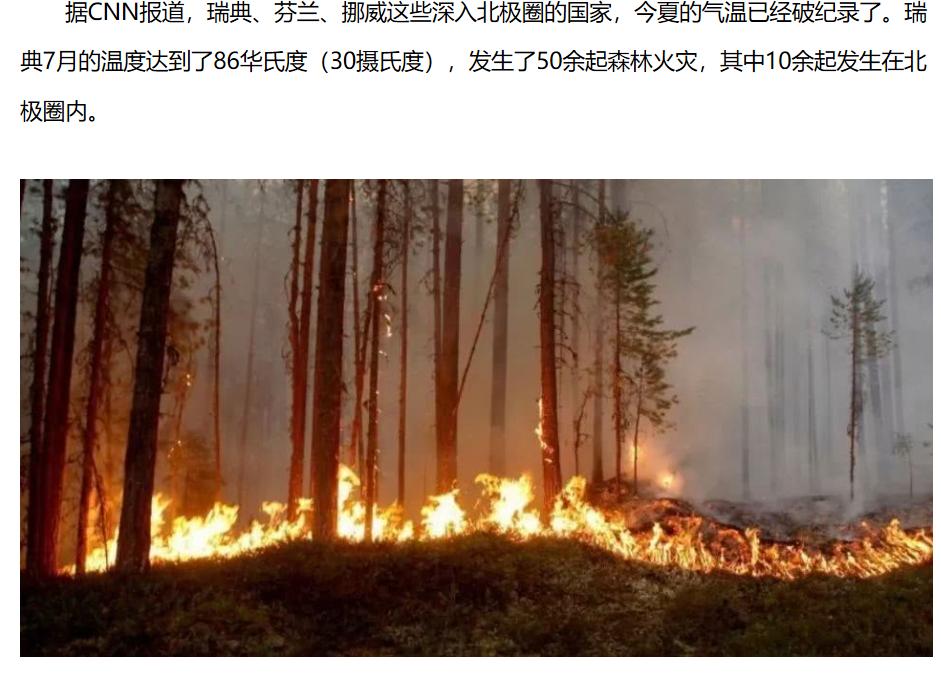 新冠肺炎、澳洲大火、东非蝗灾一系列灾难:2020年到底怎么了