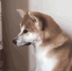 脸垮了不做医美怎么改善,想变美都需要整脸吗