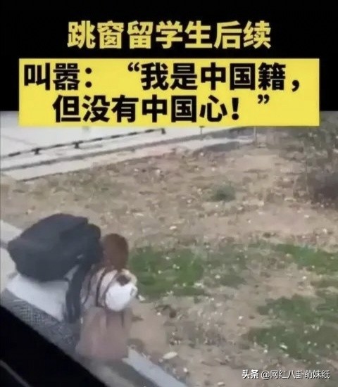 有这么一群人,薅着中国人的羊毛,硬舔着它国