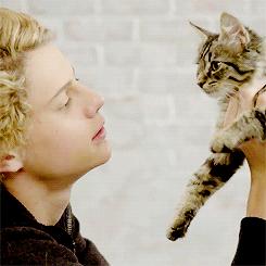 猫抓伤的地方痒,我被猫抓伤了怎么办