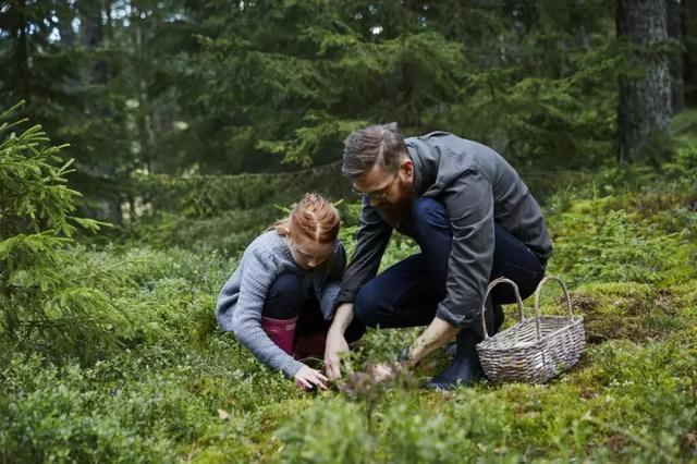 2019年世界最幸福的国家排名,全球幸福指数最高的国家芬兰