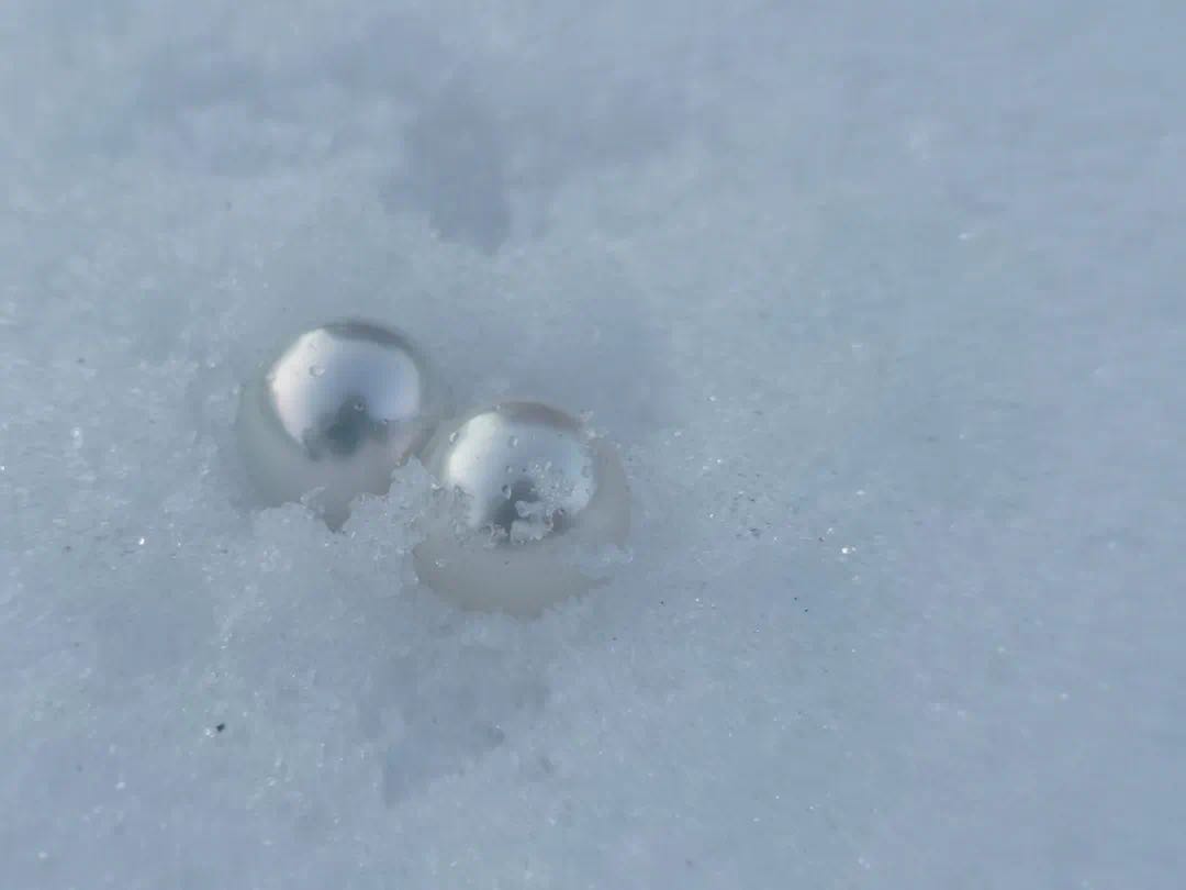 熙姐聊珍珠,关于珍珠你不可不知的冷知识