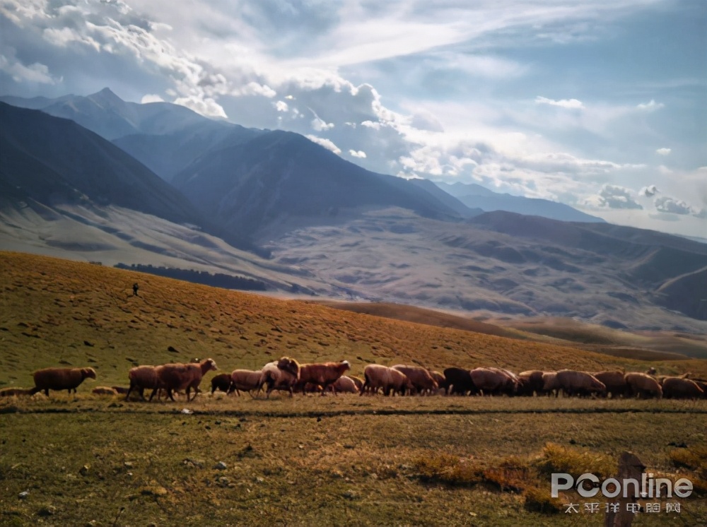 四大赏枫胜地你最想打卡哪个,赏枫胜地有哪些