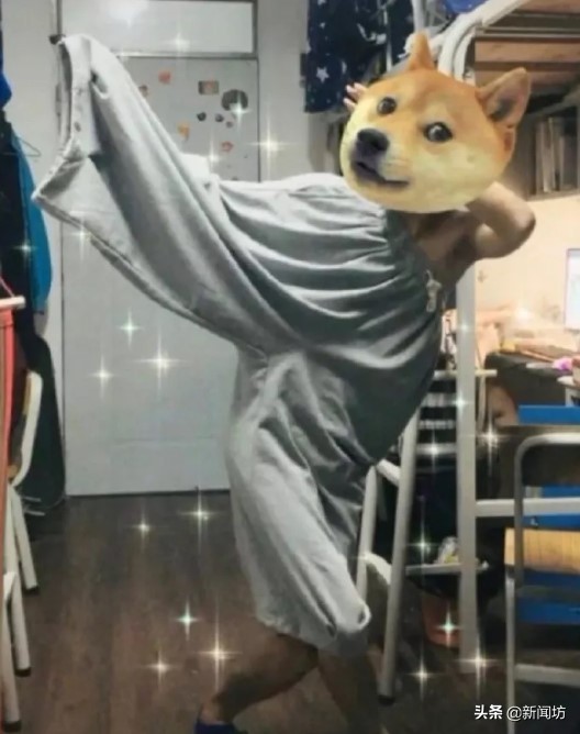 双11买家季和卖家秀图片,双11第一波买家秀视频