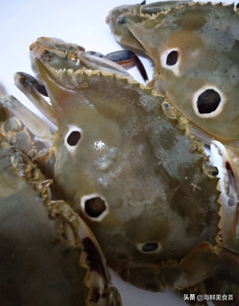 沿海最好吃的菜,好吃的小海鲜都有哪些
