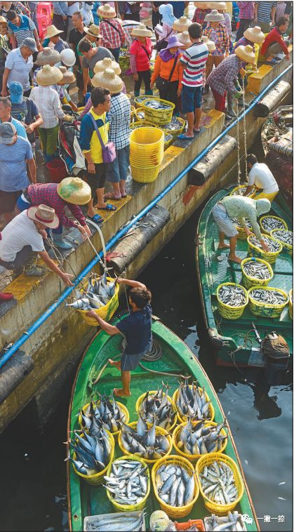 人民日报40年老照片全部,人民日报高质量短片