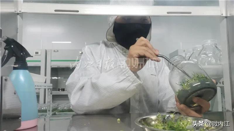 厉害发明专利,厉害了中国的技术