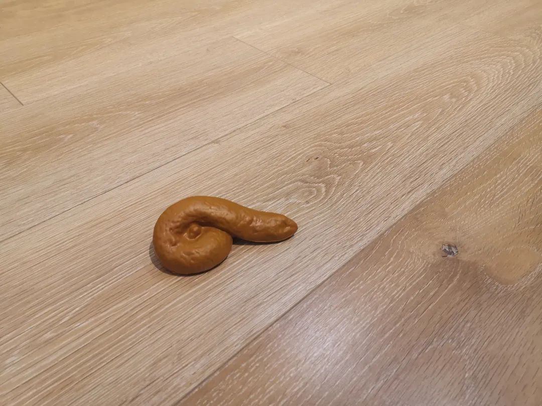 十大宝藏好物,十大必买宝藏单品