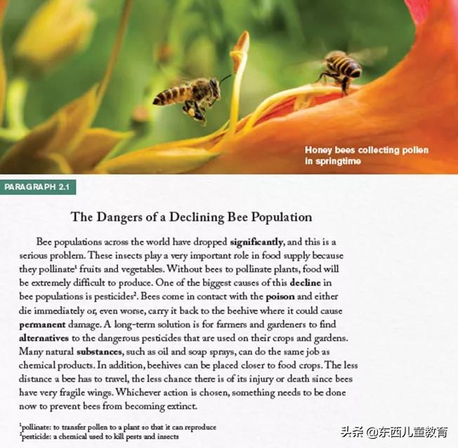 深度测评|看看咱们的英语“牛娃四件套”能炸出多少潜在牛娃