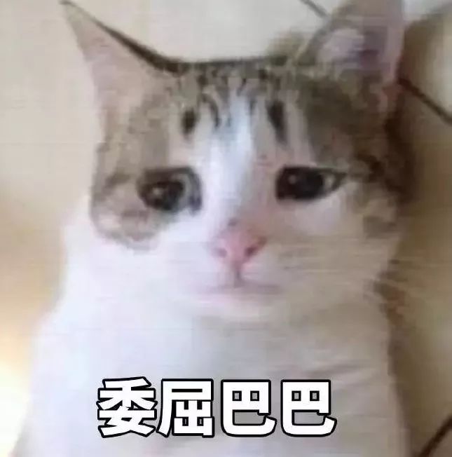 微信支付已可绑国际信用卡,微信支付使用海外信用卡