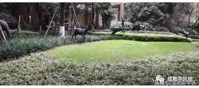 高新五区学区房价格,高新二期学区房买哪