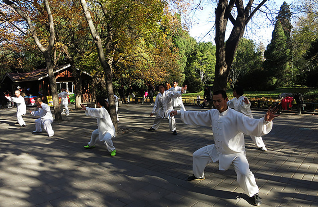 北京紫竹院公园里有什么景点,北京一日游海淀区紫竹苑风景优美