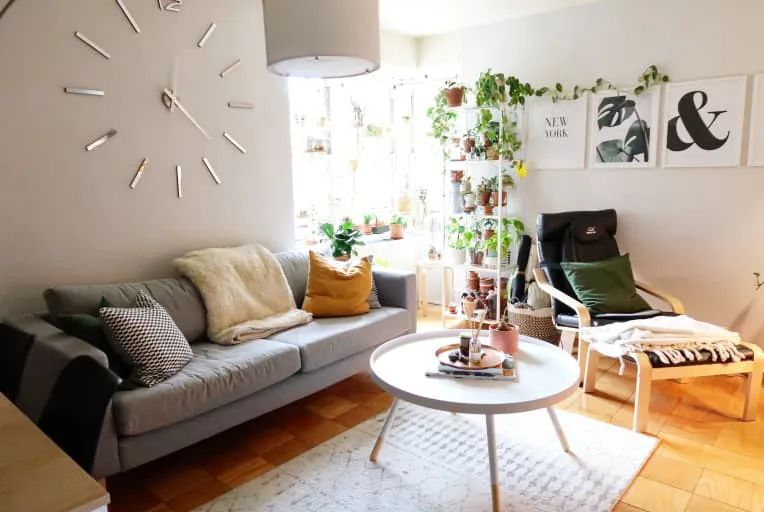 100㎡的家养了99株植物，我醉氧了…