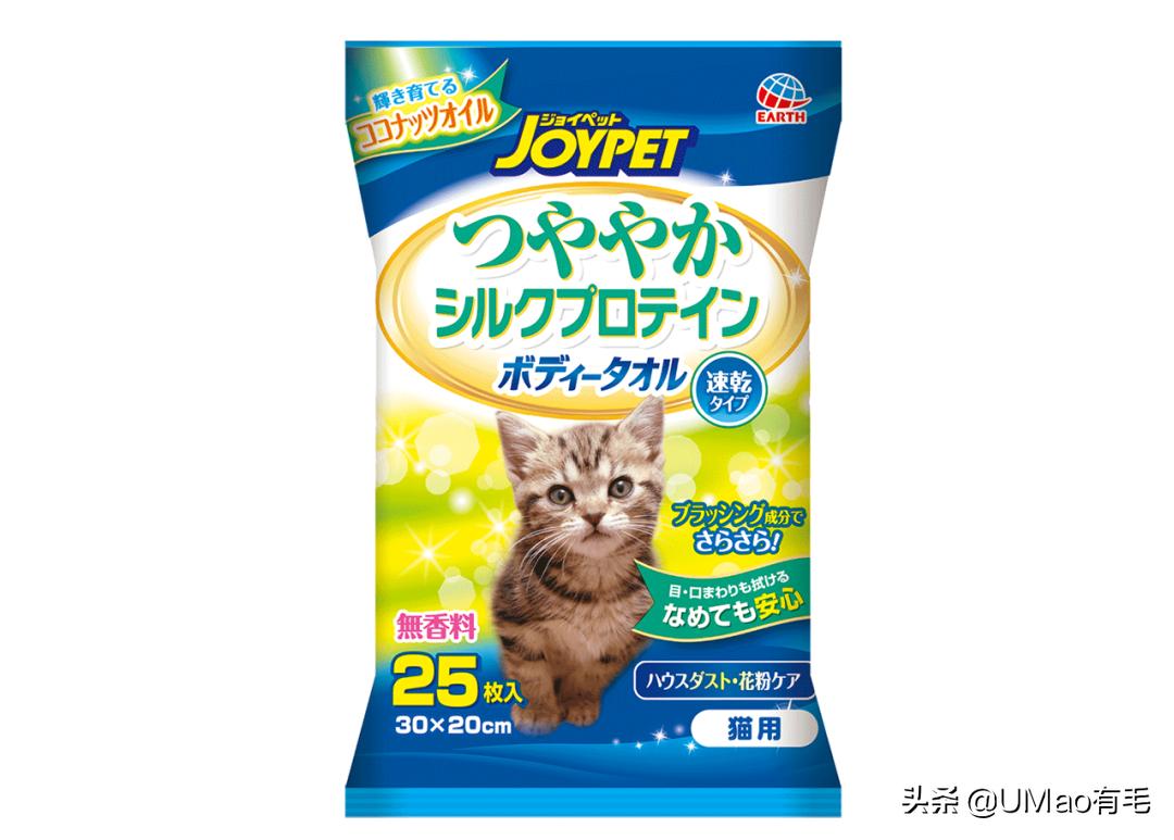 为什么养猫和想象中的不一样,为什么养猫比对自己的父母还好呢